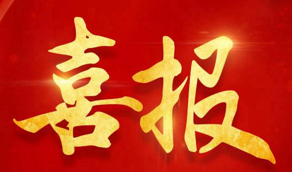 双誉齐辉——开云电子公司荣获安徽省公共资源生意领域“双项殊荣”